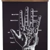 Homewares CURIOUS PRINTS VINTAGE PALMISTRY CHART CANVAS WALL HANGING PRINT