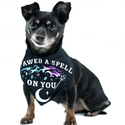 ROGUE + WOLF I PAWED A SPELL ON YOU PET BANDANA