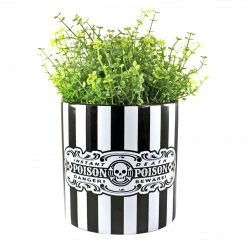 SOURPUSS POISON PLANT CONTAINER