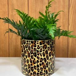 SOURPUSS LEOPARD PLANT CONTAINER Haunted Homewares