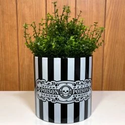 SOURPUSS POISON PLANT CONTAINER