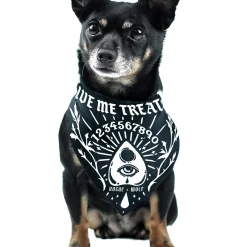 ROGUE + WOLF GIVE ME TREATOS OUIJA PET BANDANA Lifestyle