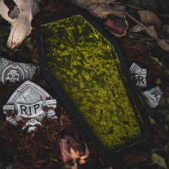 What's New LIVELY GHOSTS VELVET COFFIN TRINKET TRAY GREEN